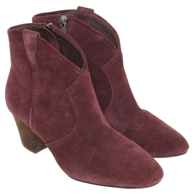 Ash Ankle boots in Bordeaux