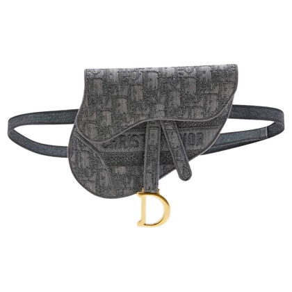 Dior Saddle Bag aus Canvas in Grau