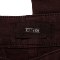 Closed Trousers in Bordeaux