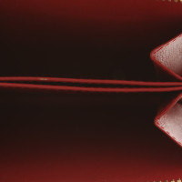 Valentino Garavani Täschchen/Portemonnaie in Rot