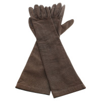 Dolce & Gabbana Gloves in brown / silver