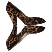 Dolce & Gabbana D & G Chaussures de léopard