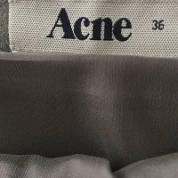 Acne roccia