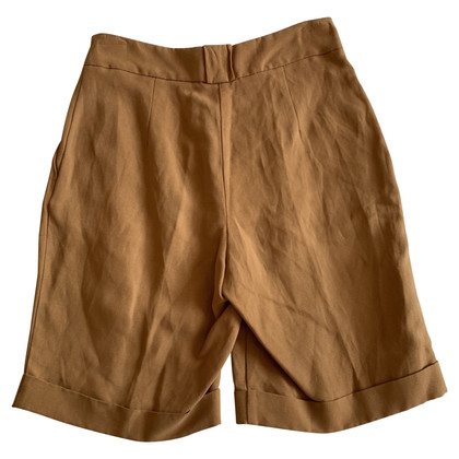 Trussardi Shorts in Braun