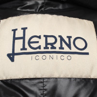 Herno Giacca/Cappotto in Nero