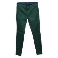 Gas Jeans en Vert