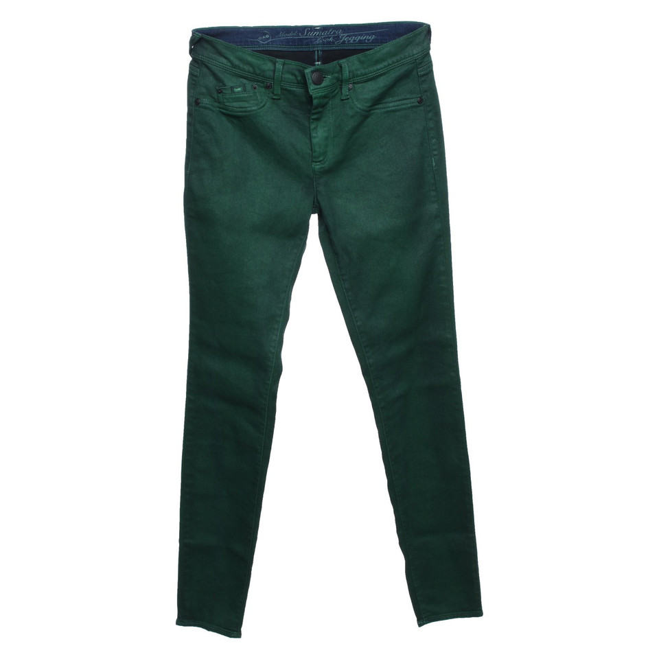 Gas Jeans in Groen