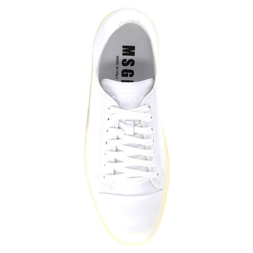 Msgm Sneakers aus Leder in Weiß