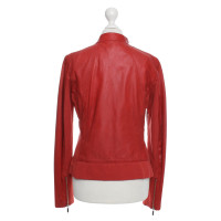 Other Designer Arma Collection - Leather Jacket