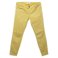 Current Elliott Yellow trousers with polka dots