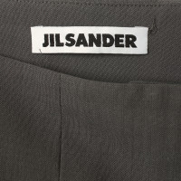 Jil Sander Pants in gray