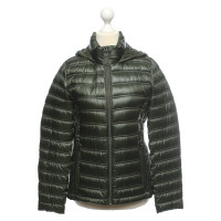 Calvin Klein Jeans Giacca/Cappotto in Verde