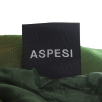 Andere Marke Aspesi - Seidenrock in Grün