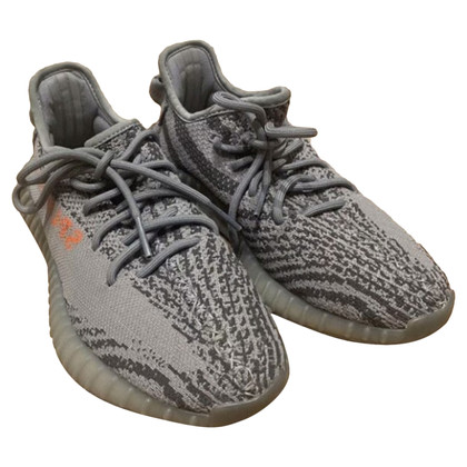 Yeezy Sneakers in Grau