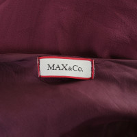 Max & Co Robe en aubergine