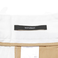 Windsor Hose aus Baumwolle in Weiß