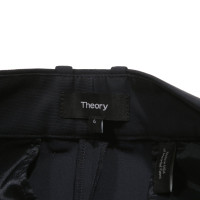 Theory Trousers in Blue