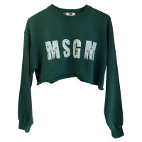 Msgm Sweatshirt with print