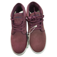 Lacoste Ankle boots Suede in Bordeaux