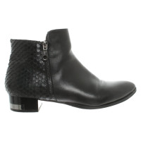 Steffen Schraut Ankle boots Leather in Black