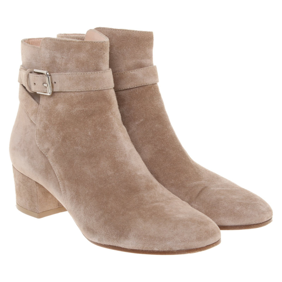 Gianvito Rossi Bottines en Daim en Beige