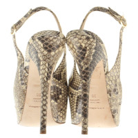 Dolce & Gabbana pumps in python leather look